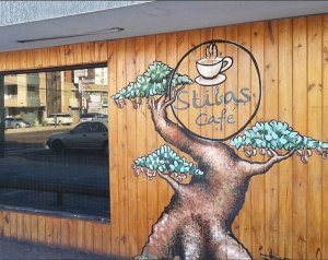 Stibas Café - Ruta del Café Mcbo
